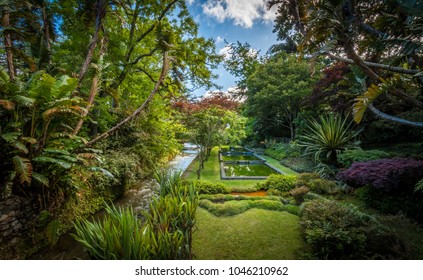 Park In Furnas, Azores