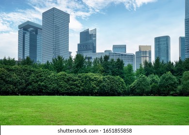 Park, Grassland, Forest And Urban Modern Architecture Skyline

