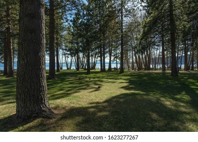 Park In Incline Village At Lake Tahoe, California, USA