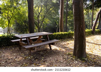 Yıldız Park , Istanbul - Turkey - November 2021: Wooden picnic table in Yıldz Park which popular for weekend activiy with family or physical sports