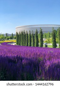 Park Krasnodar In Russian Federation