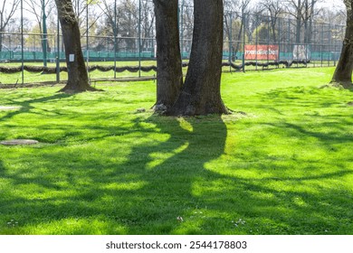 Park with a large tree casting a shadow on the grass. The shadow is large and extends across the entire field