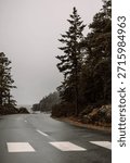 Park loop road and Otter cliffs in Acadia National Park, Maine