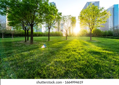 park in lujiazui financial center, Shanghai, China - Powered by Shutterstock