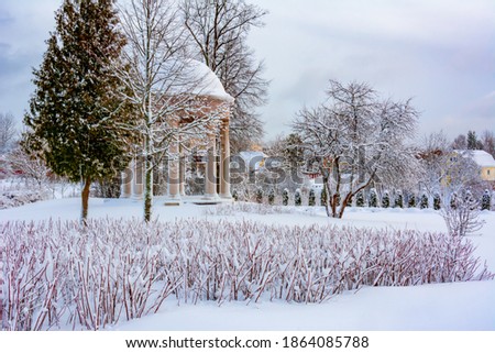 Park of Maryino homestead near Tosno in winter, Leningrad region, Russia