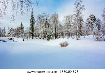 Park of Maryino homestead outside Tosno in winter, Leningrad region, Russia
