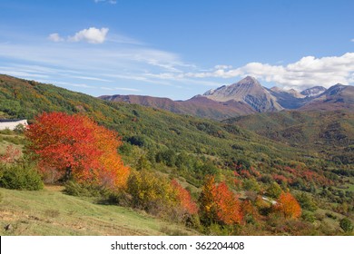 The park of Monti della Laga and  Gran Sasso in autumn, Abruzzo - Italy.