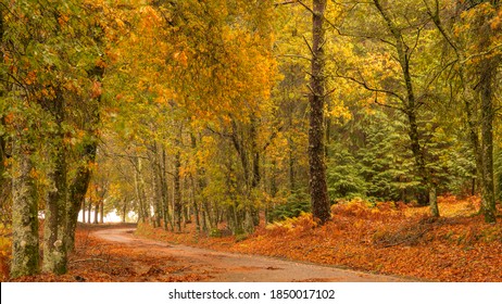 Park National Peneda Do Gerês In Mid Autum