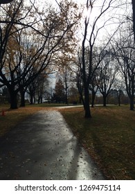 Park Near Humber College