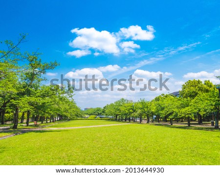 A park nearby the residential area in the suburb of Tokyo, Japan.  Can be used as a background.  With space for your text 