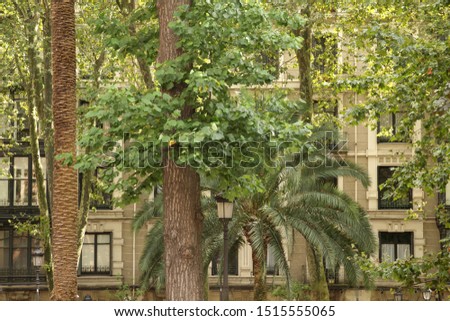 Similar – side street Tree Town