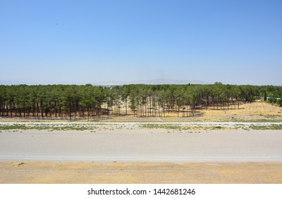 Park Next To Persepolis, With Visible Remains Of The Installations Erected For The 1971 Celebrations  For The 2500 Years' Anniversary Of The Founding Of The Imperial State Of Iran. 