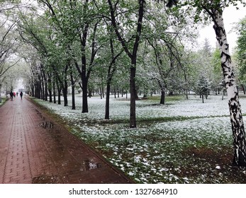 A Park. Novosibirsk Lenin Square