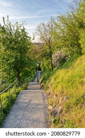 park on the hill near Vysehrad - Shutterstock ID 2080829779
