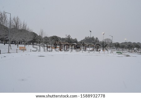 The park on one of the cold winter days