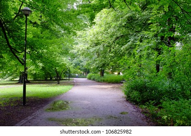 Park On Rainy Day