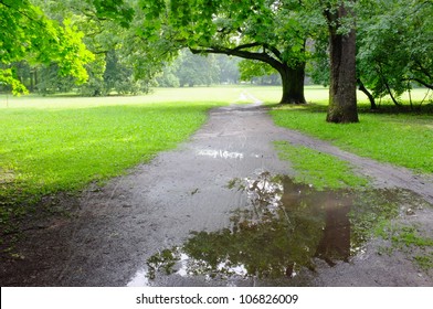 Park On Rainy Day