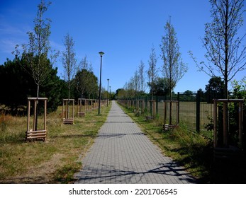 Park Outdoor. Sunny Hot Day, Nice Place To The Walk And Rest. Gdansk, Poland.