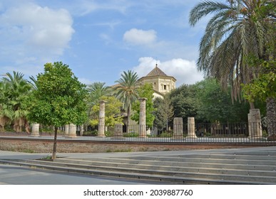 park with palm trees with steps and historic stone ruins