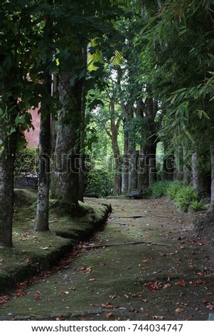 Park path.