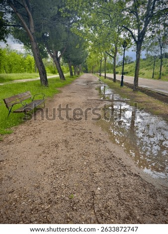 Park Path with Bench and Puddles under Dim Light – Quiet Nature Moment