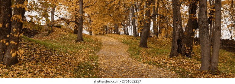 Park pathway covered with fallen leaves, surrounded by yellow autumn trees, green grass and cloudy sky. Seasonal landscape, nature, tranquility. Suitable for seasonal. Banner with copy space.