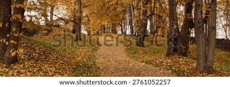 Park pathway covered with fallen leaves, surrounded by yellow autumn trees, green grass and cloudy sky. Seasonal landscape, nature, tranquility. Suitable for seasonal. Banner with copy space.
