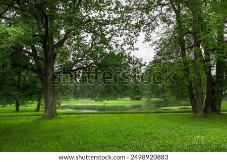 A park with a pond and trees