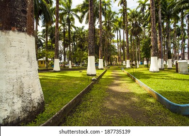 Park In Port Limon In Costa Rica