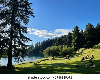 Park In Portland, Summer Ordinary Day