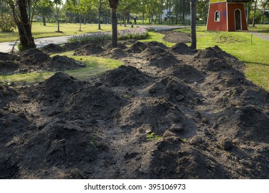 The park is preparing the soil for planting. - Shutterstock ID 395106973
