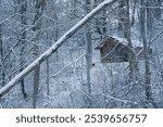 Park Ranger Cabin in a Michigan Park