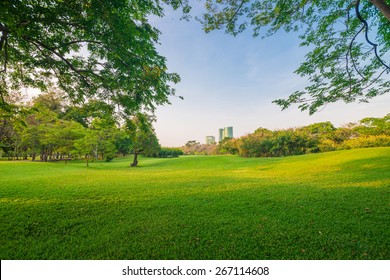 Green-area Images, Stock Photos & Vectors | Shutterstock