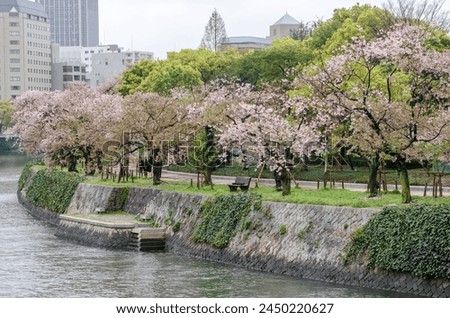 A park with a river running through it and trees with pink blossoms. The park is full of people enjoying the beautiful scenery