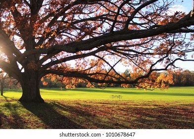 Park In Rochester, NY. 