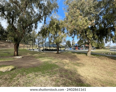 Park scene with green grass and trees in California