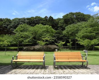 Park scenery with benches in summer　 21st century forest and plaza