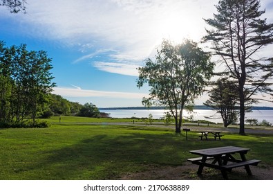 Park Setting Near The Ocean In The Early Morning With Picnic Tables, Trees And Mowed Grass On The Coast Of Maine.