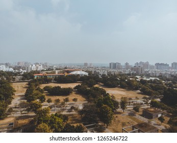 park with skyline