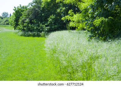 park in spring