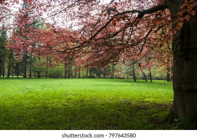 Park Spring Stock Photo 797643580 | Shutterstock