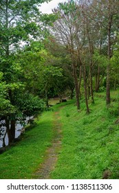 Park in spring time