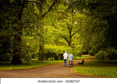 Park in spring time - Powered by Shutterstock