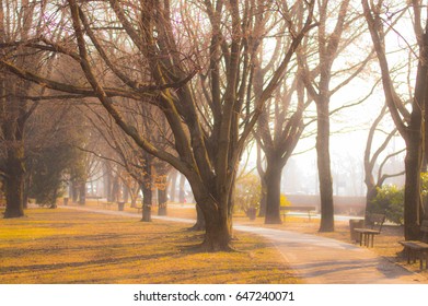 Park in the spring with lot of trees.

