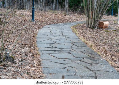 Park with a stone path, surrounded by trees and shrubs without leaves. Autumn or spring. Wooden benches standing. Seasonal bare branches, quiet atmosphere.