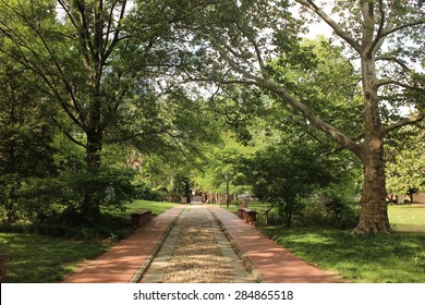 Park Street In The Summer Philadelphia