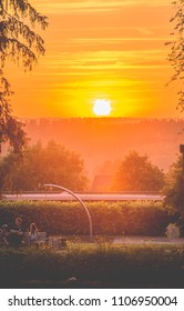 Park summer  sunset 