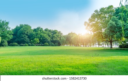 Park Sunshine Grassland Green Forest Stock Photo 1582413730 | Shutterstock