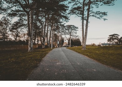 A park surrounded by pine trees during twilight, casting a peaceful and enchanting glow over the serene landscape