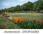 Park in Szolnok,Hungary. High quality photo.